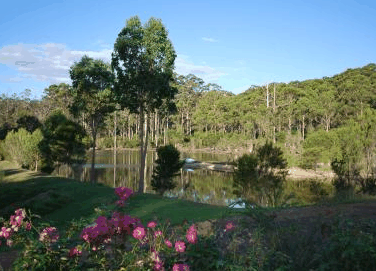 Forest Lodge Resort - Accommodation Noosa 3