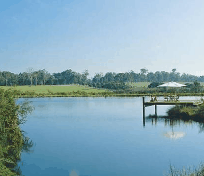 Forest Rise Eco Retreat - Accommodation Noosa