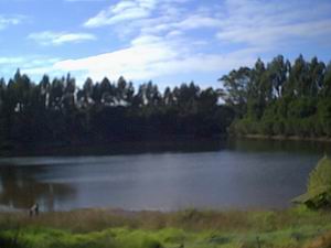 Jenny's Lake Farm B&B - Accommodation Noosa 5