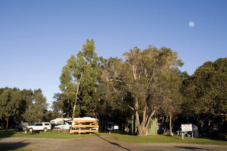 Molloy Caravan Park - Accommodation Noosa 1