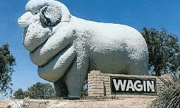 Wagin Motel - Accommodation Noosa