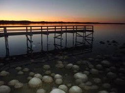 Lake Clifton WA Accommodation Noosa