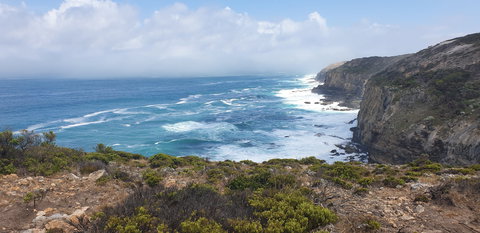 Amoria Beach House - Accommodation Noosa 2