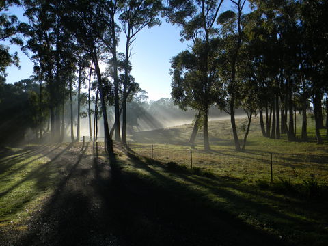 Cygnet Park Country Retreat - Accommodation Noosa 2