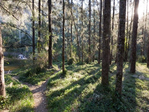 Deua River Campgrounds - Accommodation Noosa 0