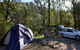 Deua River Campgrounds - thumb 1