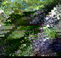 Hamilton's Cottage Collection and Country Gardens - Edwards - Accommodation Noosa