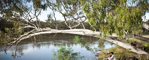 Hay Caravan Park - Accommodation Noosa 1