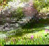 Sofala Cottage - Accommodation Noosa