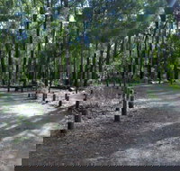 Stringers Camp at Lane Poole Reserve - Accommodation Noosa