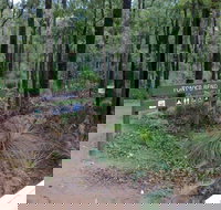 Tonys Bend Campground at Lane Poole Reserve - Accommodation Noosa