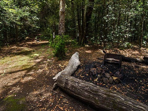 Wombat Creek Campground - Accommodation Noosa 0