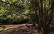 Wombat Creek Campground - thumb 1