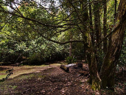 Wombat Creek Campground - Accommodation Noosa 1