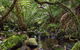 Wombat Creek Campground - thumb 2