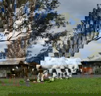 Woodenbong B and B - Accommodation Noosa