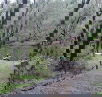 Yarragil Camp at  Lane Poole Reserve - Accommodation Noosa