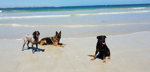 BIG4 Warrnambool Figtree Holiday Park - Accommodation Noosa 2