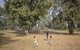 Cattai Campground - thumb 2