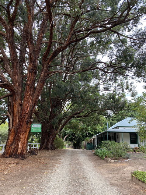 Fernleigh Accommodation - Accommodation Noosa 0