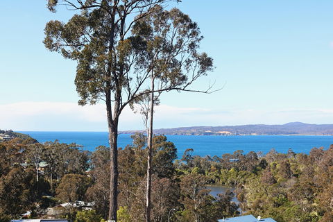 Whale Cove - Accommodation Noosa 0