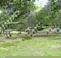 Broadwater camping area Abergowrie State Forest - Accommodation Noosa