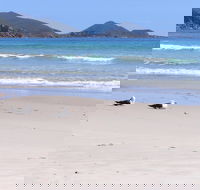 Eagles Rise Tasmania - Accommodation Noosa