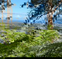 Escarpment - Accommodation Noosa