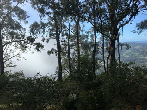 Escarpment - Accommodation Noosa 2