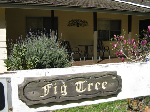 Figtree Cottage - Accommodation Noosa 0