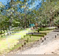 Mogo campground - Accommodation Noosa