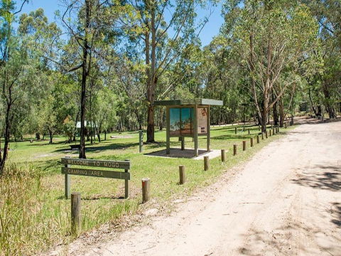 Mogo Campground - Accommodation Noosa 0