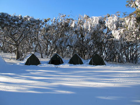 Mt Stirling Alpine Winter Camp - Accommodation Noosa 1