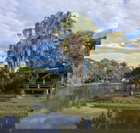Sanctuary Lakes Fauna Retreat - Accommodation Noosa