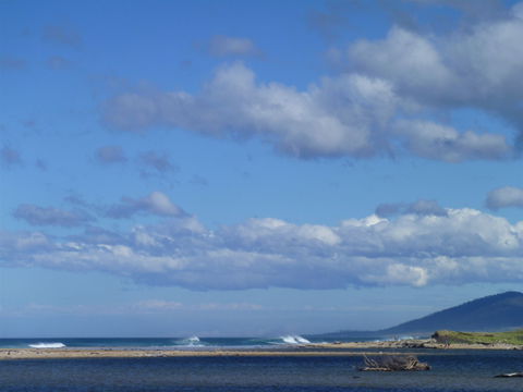 Scamander On The Beach - Accommodation Noosa 1