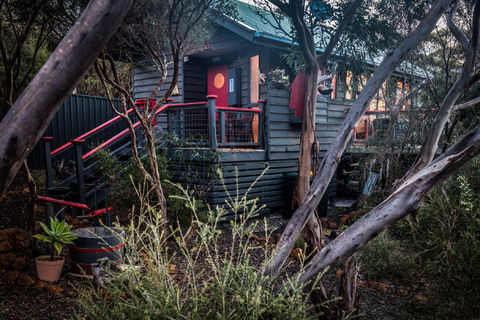 Serenity Cottage - Accommodation Noosa 1