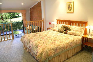 Amethyst Lodge - Accommodation Noosa 2
