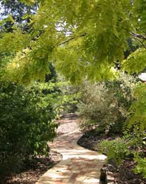 Eagle Hammer Cottages - Accommodation Noosa 0