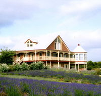 Serendipity Lavender Farm - Accommodation Noosa