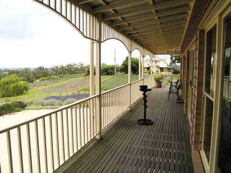 Serendipity Lavender Farm - Accommodation Noosa 2