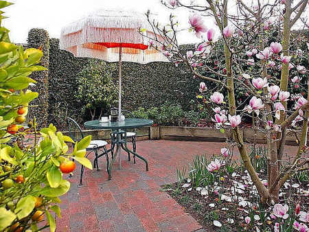 The Courtyard Mt Eliza - Accommodation Noosa 3