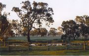 Ardwick Homestead - Accommodation Noosa 1
