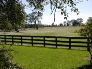 Ardwick Homestead - Accommodation Noosa 2
