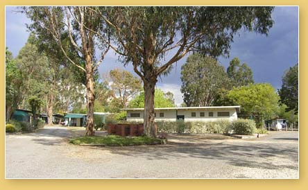 Alexandra Tourist Park - Accommodation Noosa 2