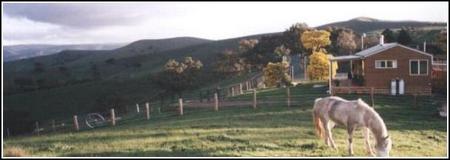 Idlewild Park Farm Accommodation - Accommodation Noosa 1