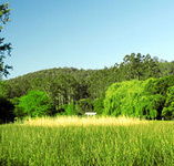 Waterholes Guest House - Accommodation Noosa