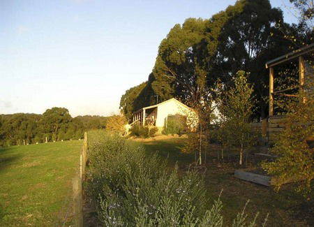 Birchwood Retreat Country Cottages - Accommodation Noosa 3