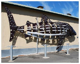 Apollo Bay Recreation Reserve Caravan And Camp Park - Accommodation Noosa 1