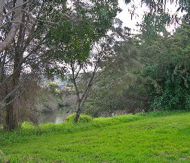 Apollo Bay Recreation Reserve Caravan And Camp Park - Accommodation Noosa 3