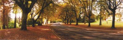 La Trobe At Beechworth - Accommodation Noosa 0